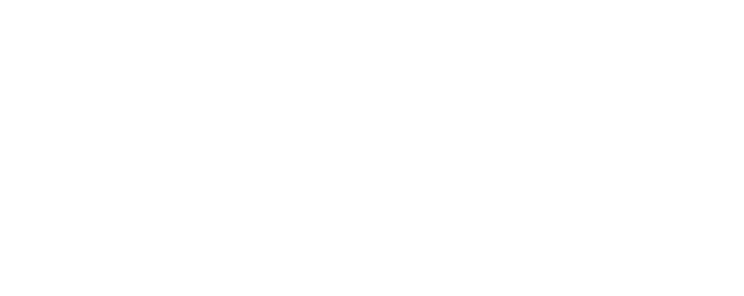 BUTTERFLY WHITE LOGO