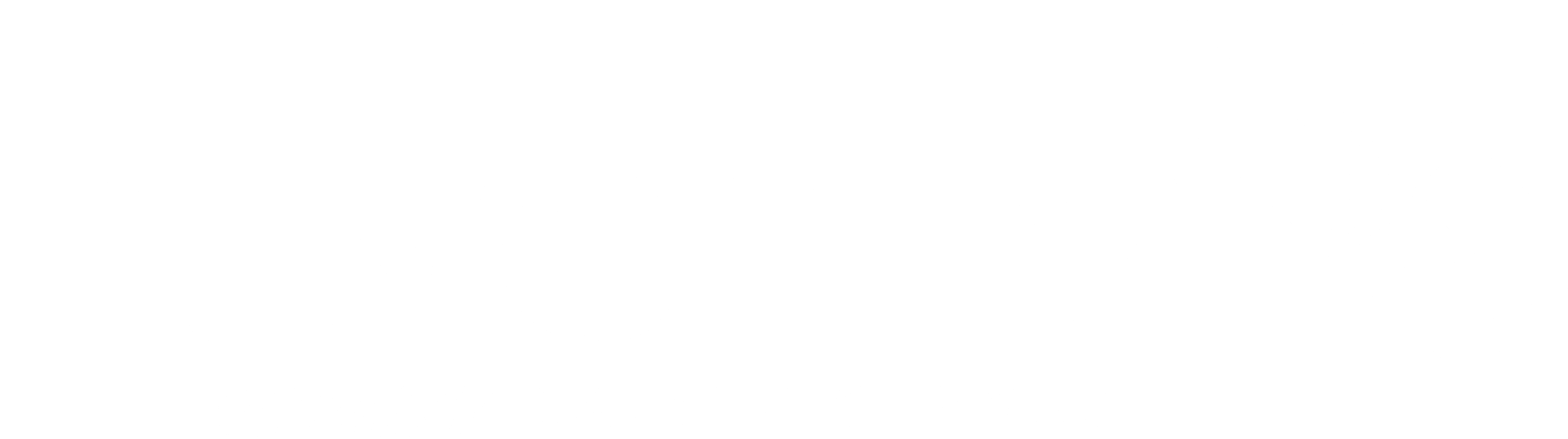 FLYCITY DOCU WHITE LOGO