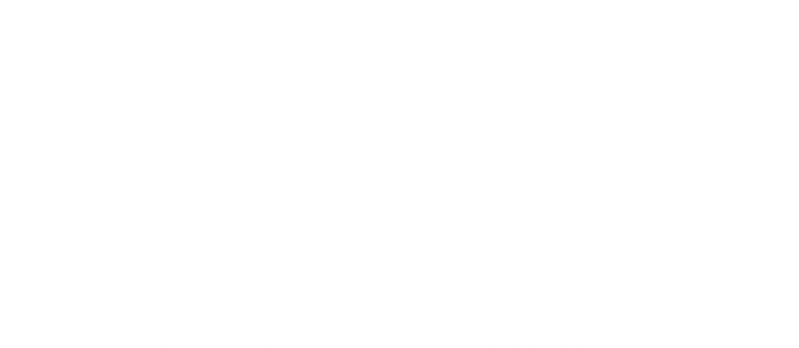 LIMO RIYAD WHITE LOGO